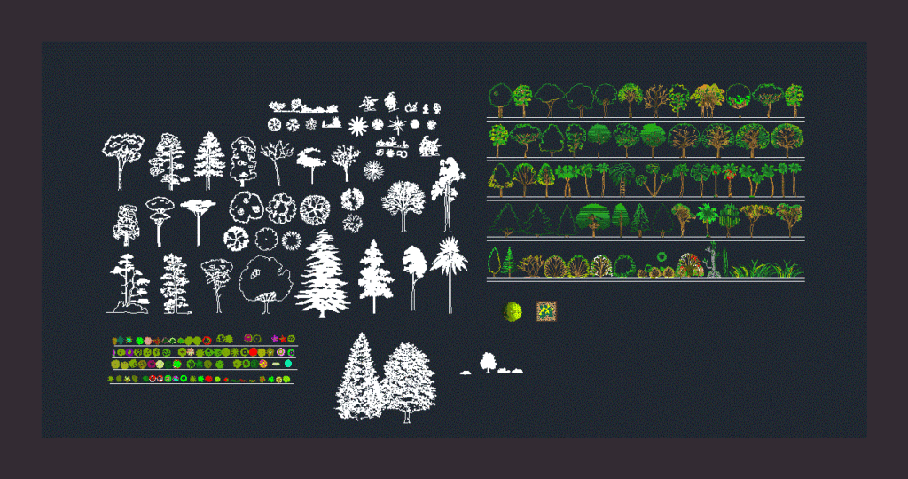 Tree DWG Detail for AutoCAD