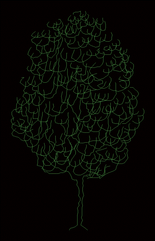 Pencil Cactus Tree 2D DWG Elevation for AutoCAD