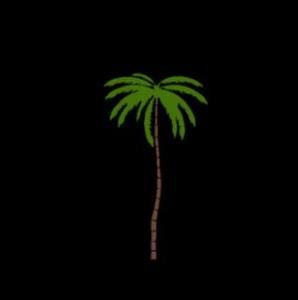 Coconut Tree 2D DWG Elevation for AutoCAD