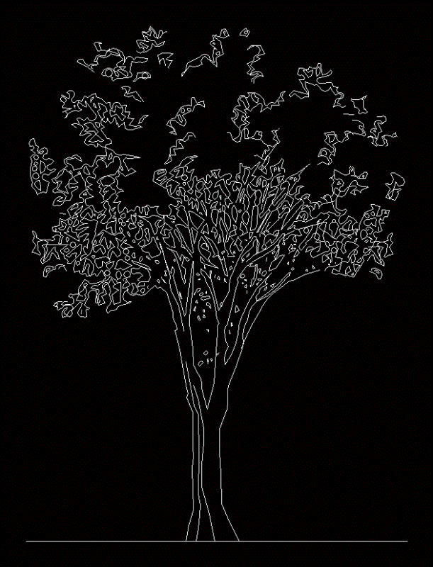 Balsa Tree 2D DWG Elevation for AutoCAD