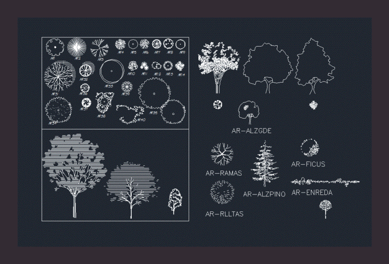 Trees 2D DWG Block for AutoCAD