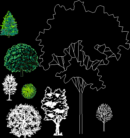 Trees 2D DWG Full Project for AutoCAD • Designs CAD