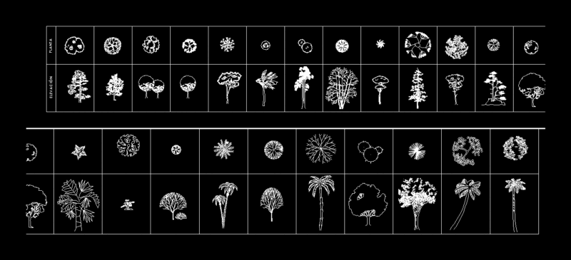 Trees 2D DWG Plan for AutoCAD