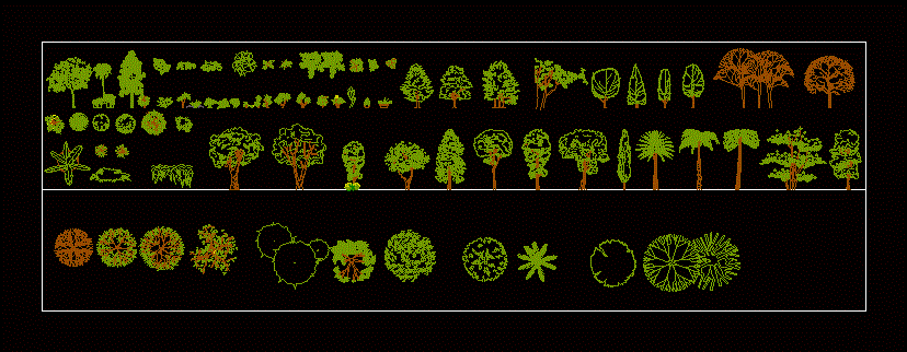 Trees 2d Dwg Plan For Autocad 59870 