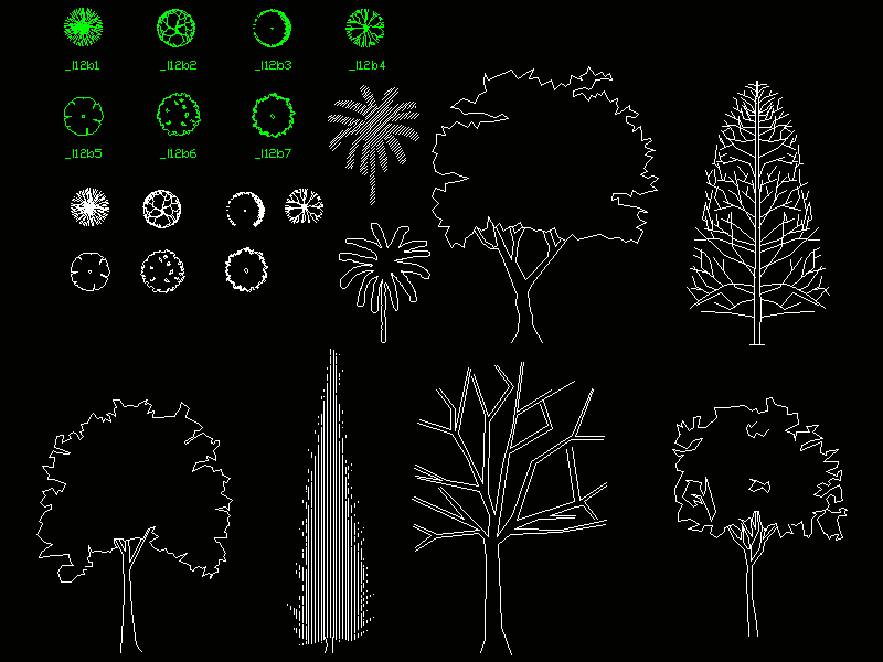 Trees 2D DWG Section for AutoCAD • Designs CAD