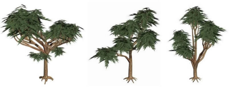 Trees 3D 3DS Model for 3D Studio Max