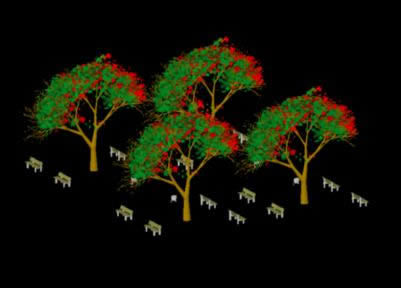 Poinciana Trees 3D DWG Model for AutoCAD â€