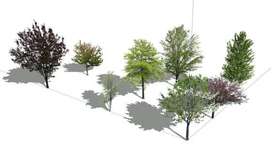 Trees 3D SKP Model for SketchUp • Designs CAD