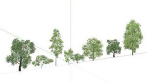 Trees 3D SKP Model for SketchUp • Designs CAD