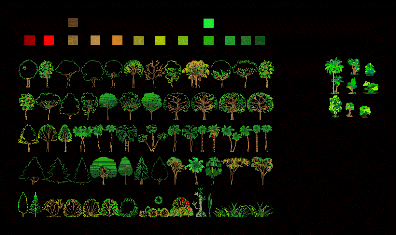 Trees And Plants 2D DWG Elevation for AutoCAD