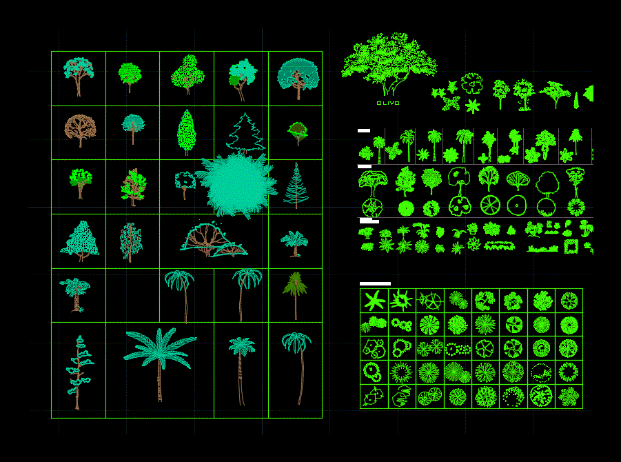 Trees, Shrubs and House Plants 2D DWG Block for AutoCAD • Designs CAD