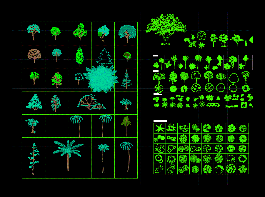 Trees, Shrubs and House Plants 2D DWG Block for AutoCAD 