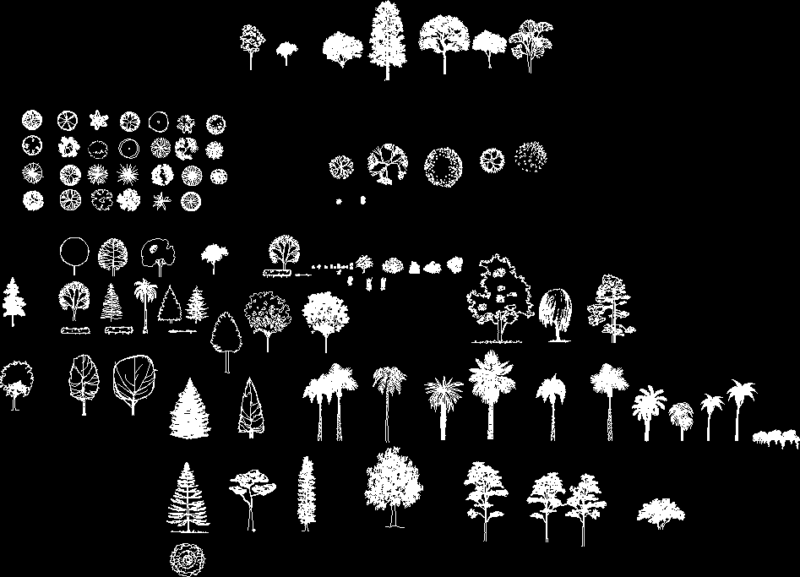Trees And Plants DWG Elevation for AutoCAD