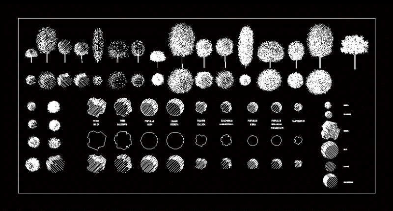 Trees And Shrubs 2D DWG Elevation for AutoCAD