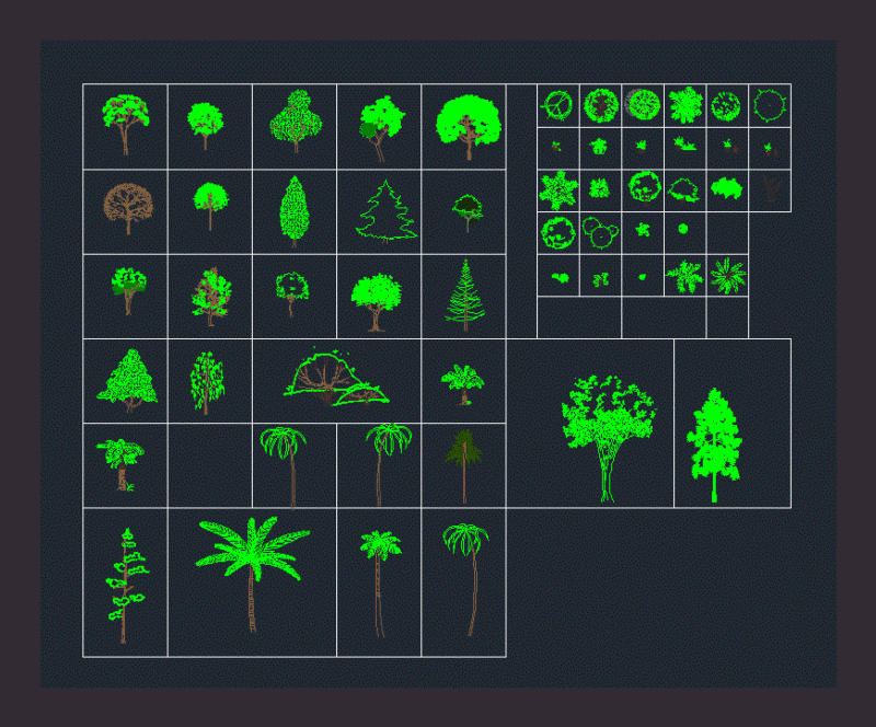Trees And Shrubs DWG Block for AutoCAD