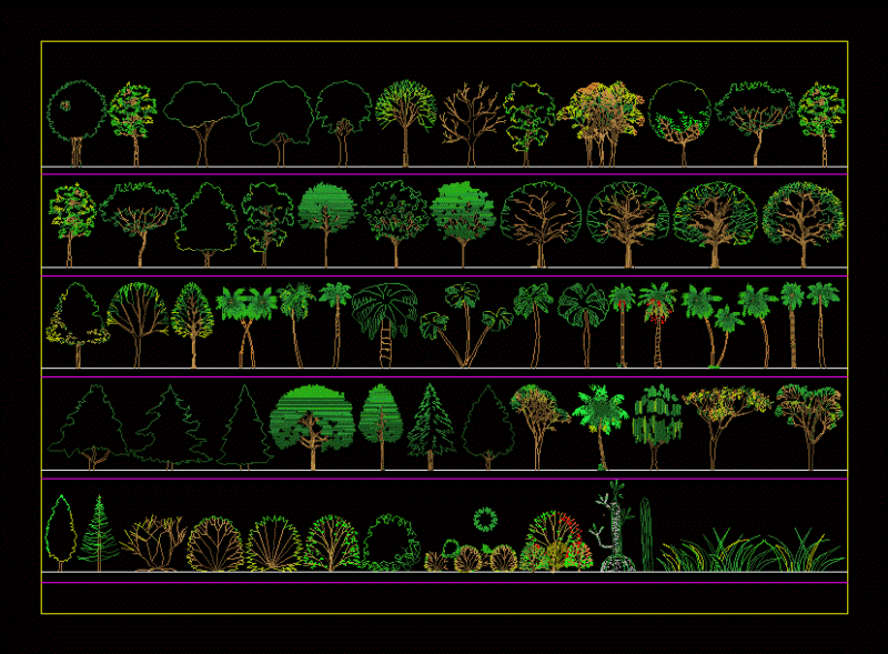 Trees Bogota DWG Block for AutoCAD