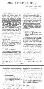 Trees Bogota PDF (Document)
