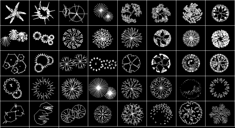 Trees DWG Block for AutoCAD
