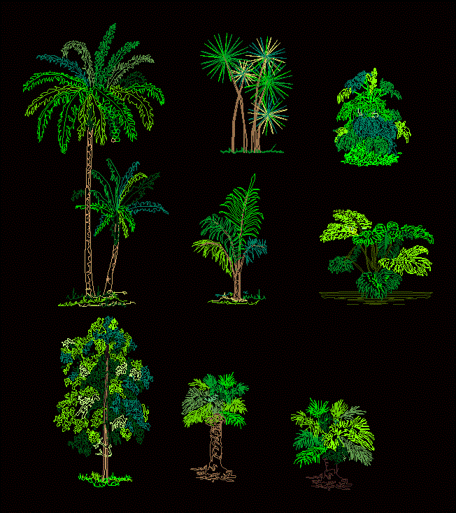 Trees DWG Detail for AutoCAD • Designs CAD