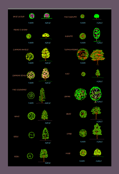 Different Types of Trees 2D DWG Block for AutoCAD • Designs CAD