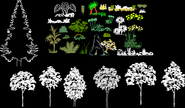 Trees DWG Plan for AutoCAD • Designs CAD