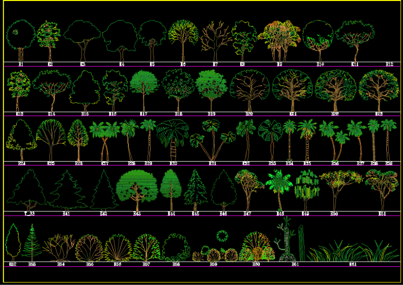 Trees Elevation DWG Elevation for AutoCAD