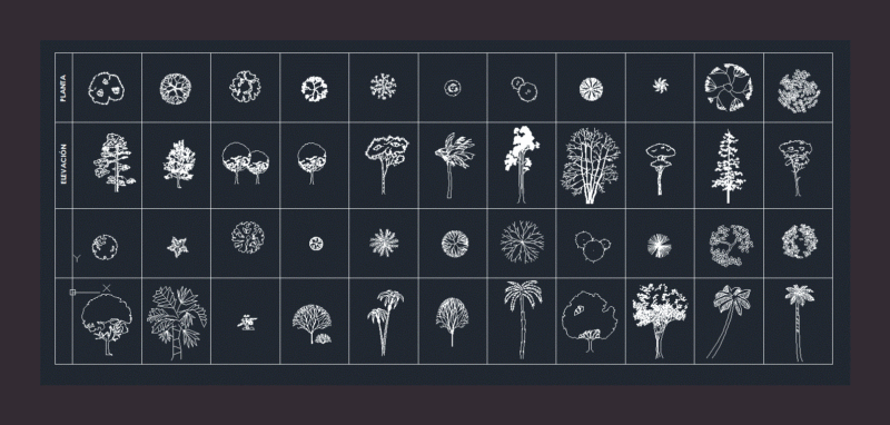 Trees For Bogota DWG Plan for AutoCAD