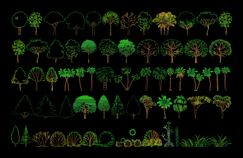 Trees In Elevation DWG Elevation for AutoCAD