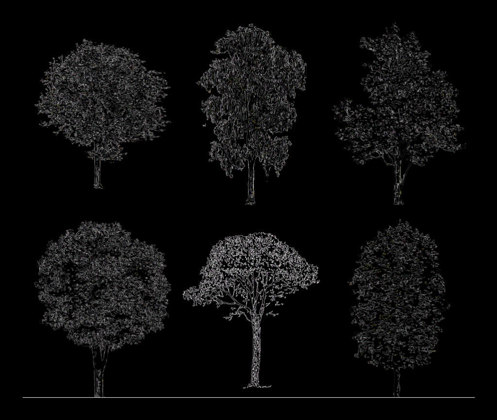 Trees In Elevation DWG Elevation for AutoCAD