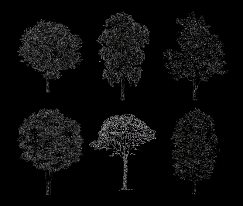 Trees In Elevation DWG Elevation for AutoCAD