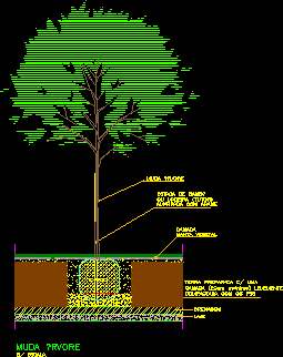 Tree Plantation Detail 2D DWG Detail for AutoCAD • DesignsCAD