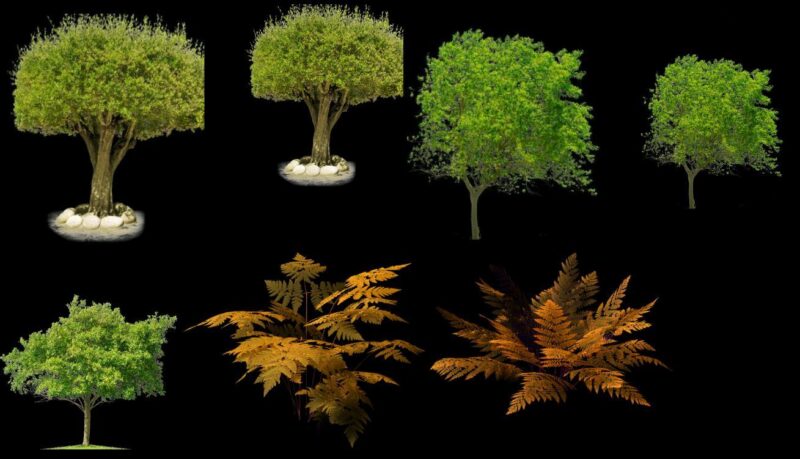 Trees Png DWG Block for AutoCAD