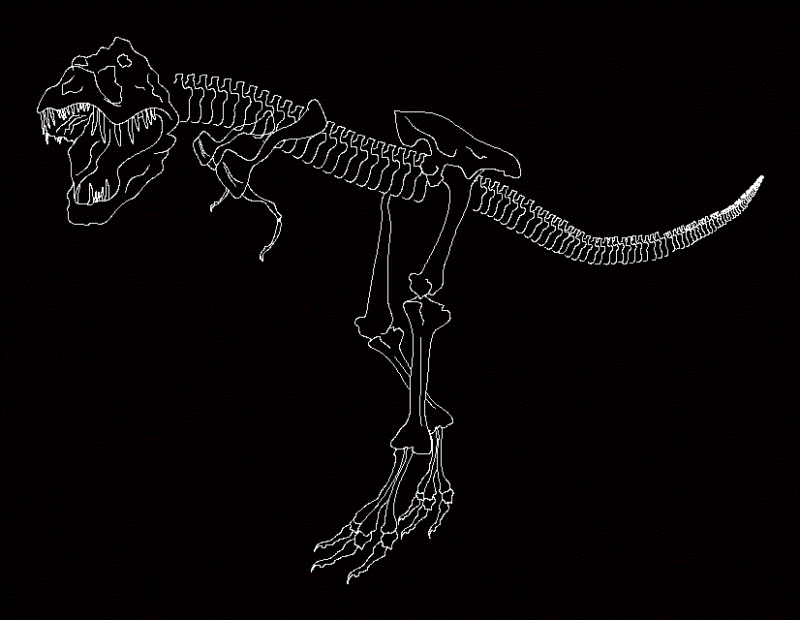 Tyrannosaurus rex