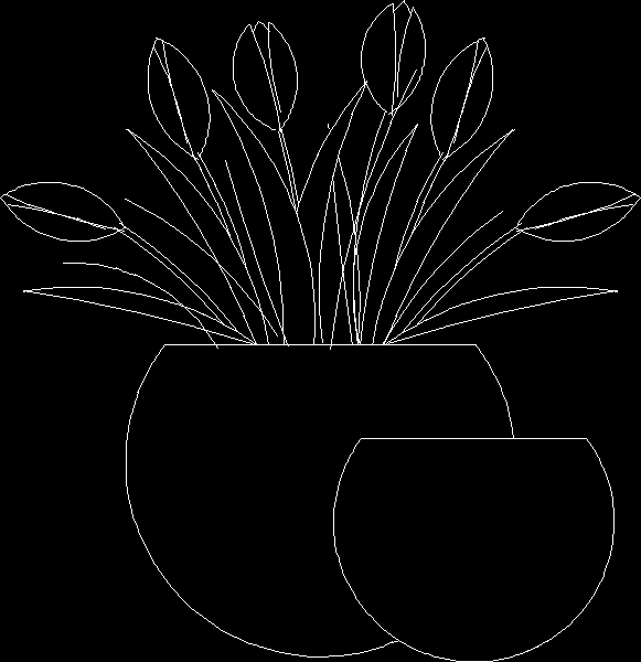 Tulip Flower  in Vase 2D DWG Block for AutoCAD   Designs CAD