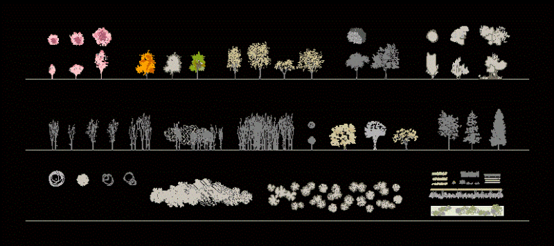 Trees and Shrubs 2D DWG Block for AutoCAD