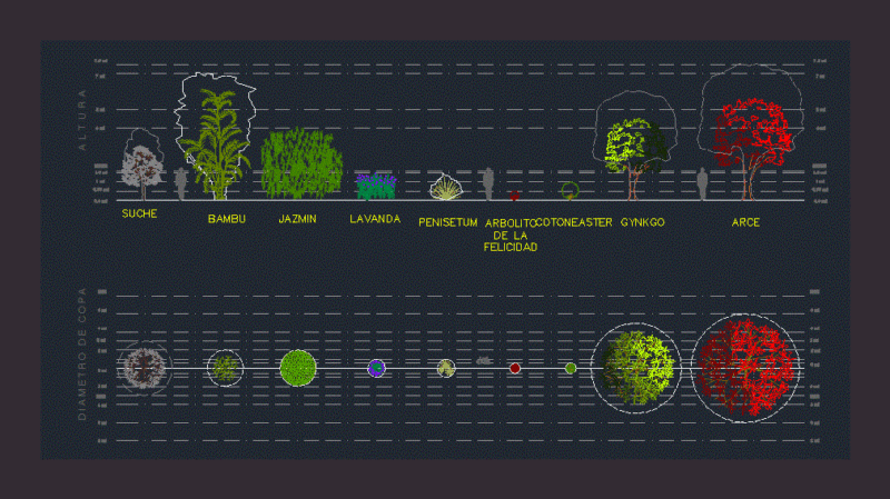 Trees and Shrubs 2D DWG Detail for AutoCAD