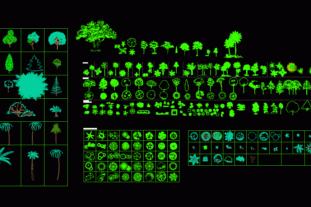 Trees, Shrubs and House Plants 2D DWG Block for AutoCAD 