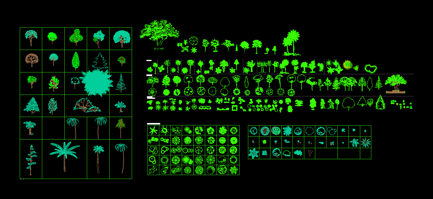 Trees Shrubs and House Plants 2D DWG Block for AutoCAD 