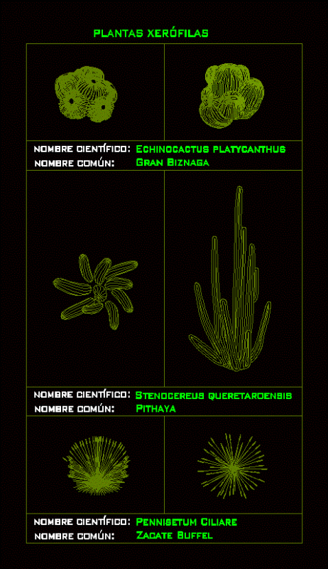 Desert Plants 2D DWG Block for AutoCAD