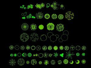 Various Trees And Palm Trees Plants Top View Plan 2D DWG Block For ...