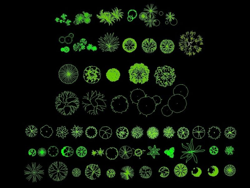 Various Trees And Palm Trees Plants Top View Plan 2D DWG Block For AutoCAD