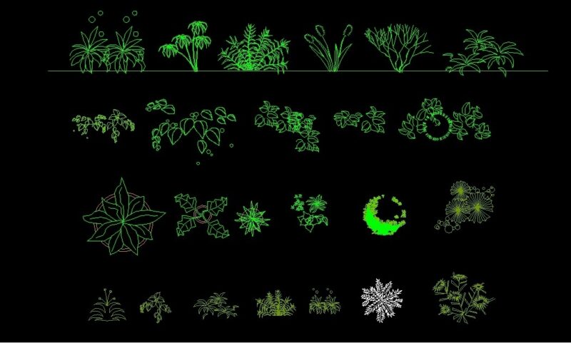 Shrubs Trees Plants Top View Plan And Elevation 2D DWG Block For AutoCAD