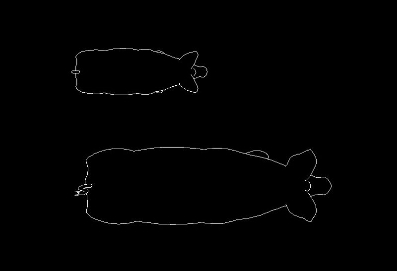 Pig Animal Standing Top View Plan 2D DWG Block For AutoCAD