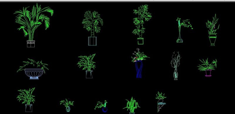 Bonsai Tree In Pot Decoration Plants In Vase Elevation 2D DWG Block For AutoCAD