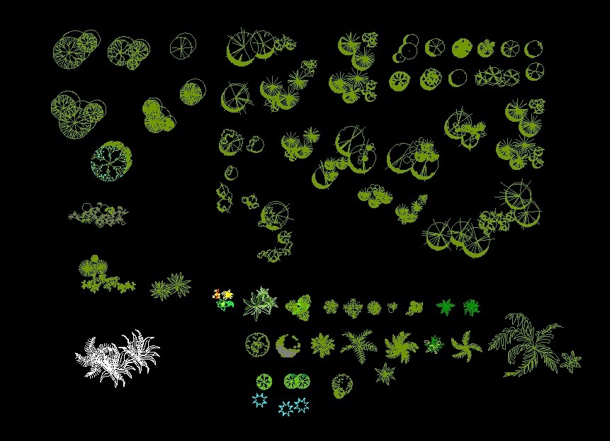 Trees And Palm Trees Plants Top View Plan 2D DWG Block For 