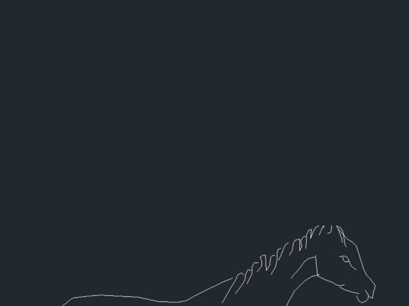 horse test title