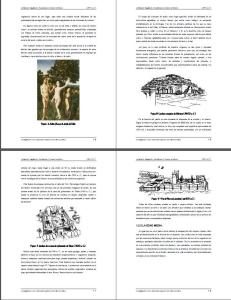 The Garden In The Architecture PDF (Document)