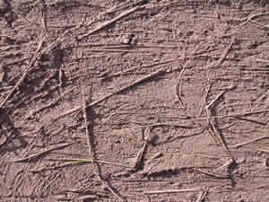 Adobe – Brick Of Mud 2D BMP Graphics Graphics