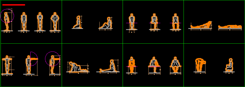 Anthropometric DWG Block for AutoCAD