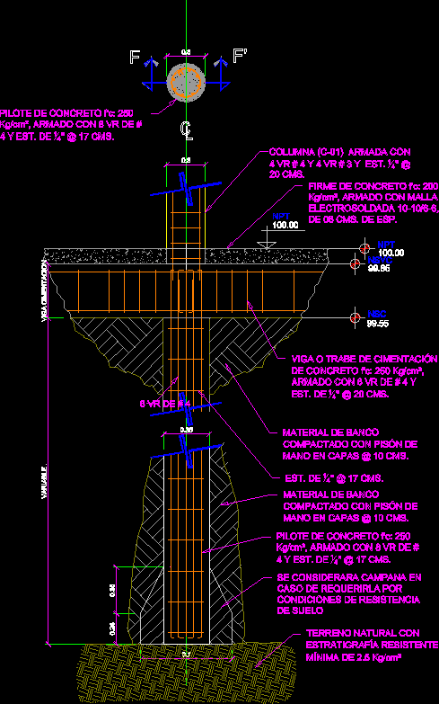 Detail Pilote DWG Section for AutoCAD  Designs CAD